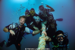 Divers friends by Marcelo Lunardi Ferronato 